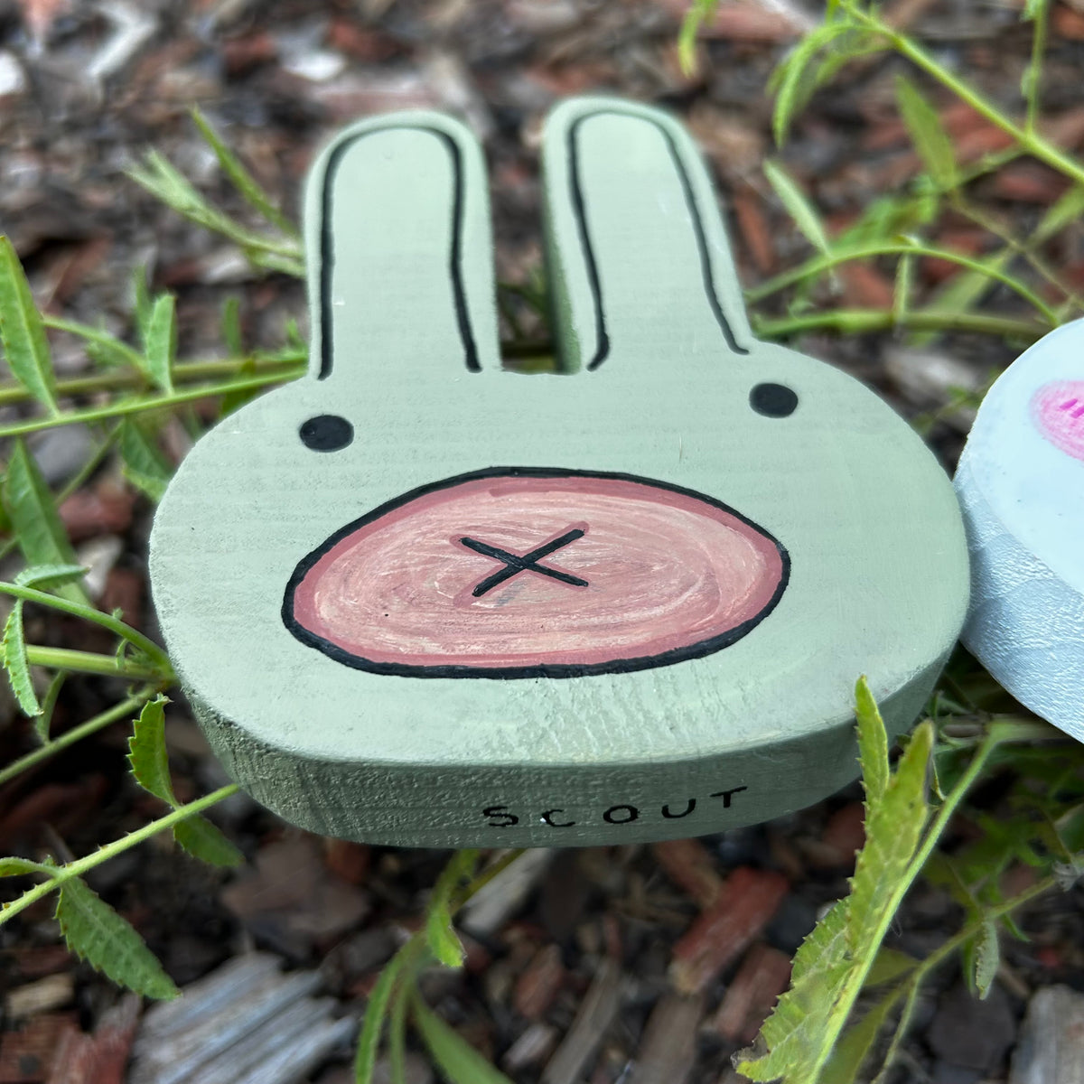 Lady and Scout Bunnies